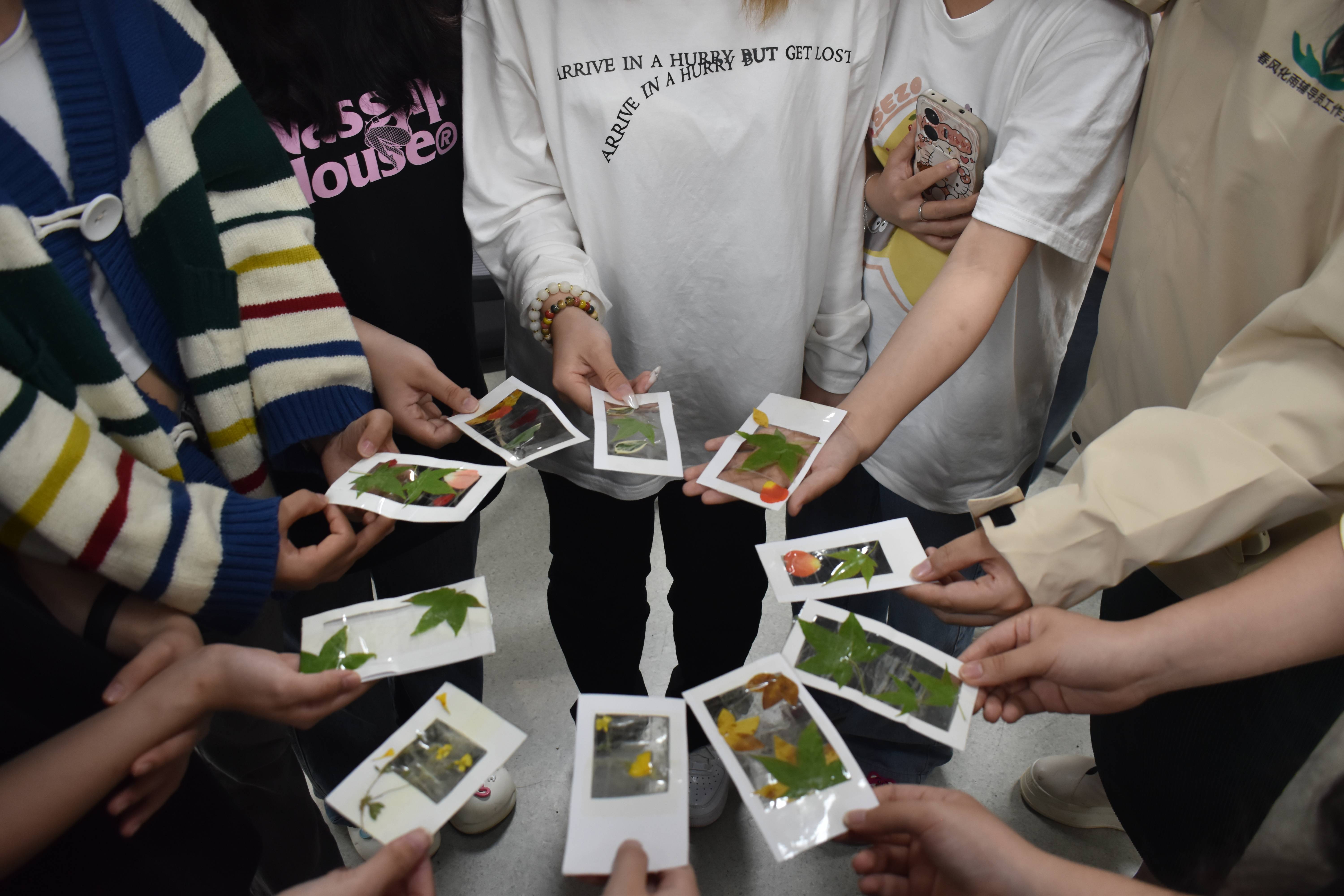 DSC_0867(1)(1).jpg