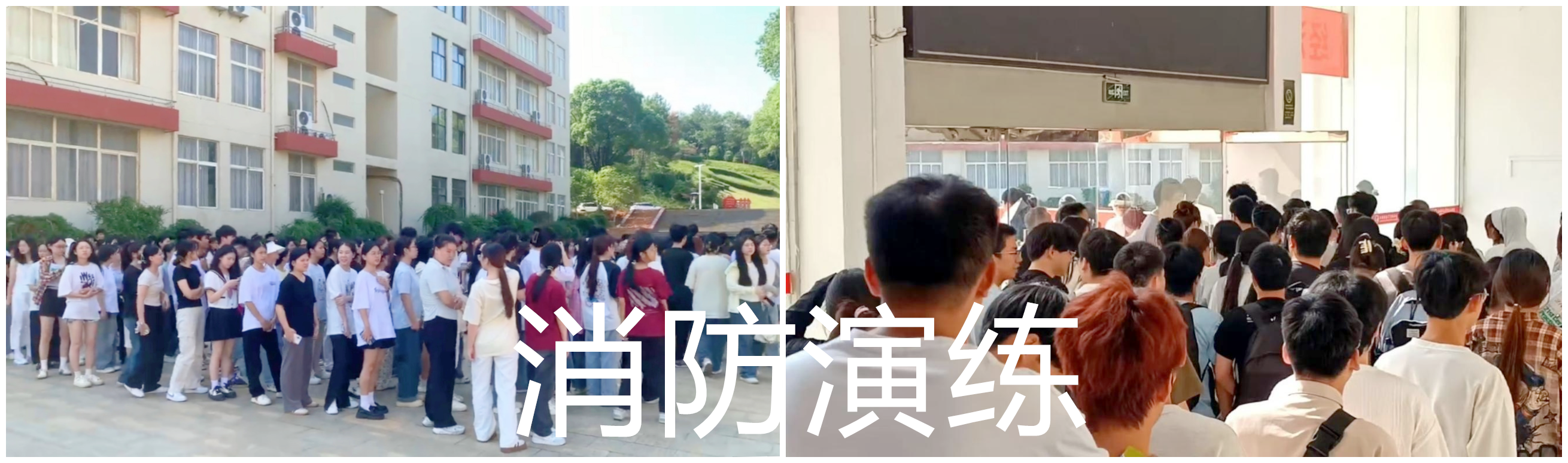 拼图2.png